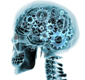 skull - brain full of gears illustration