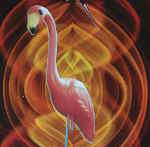 plastic flamingo on nuclear magnetic field