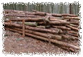 logs piled in a forest - link to building slide