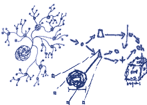 Line drawing of organism tendrils, 
logic flow chart, cube, 3d object graph